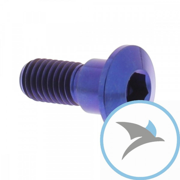 Schraube Bremsscheibe Pro Bolt M8X1.25 mm 22 mm Titan blau - TIDISCSUZ20B