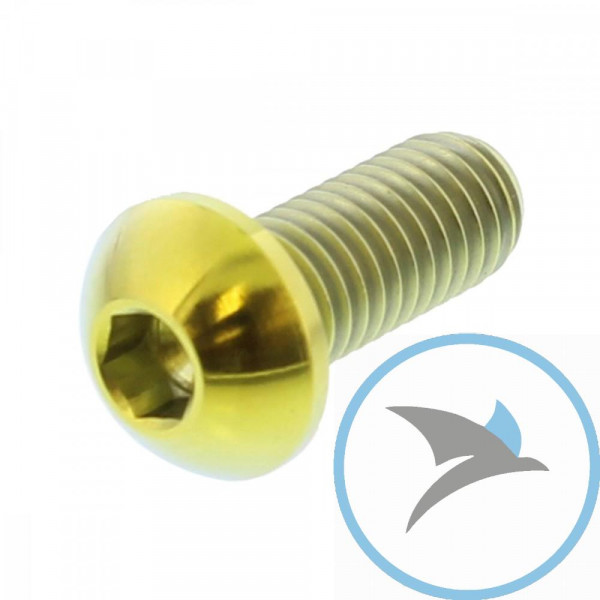 Schraube Bremsscheibe Pro Bolt M8X1.25 mm 20 mm Titan gold - TIDISCDUC30G