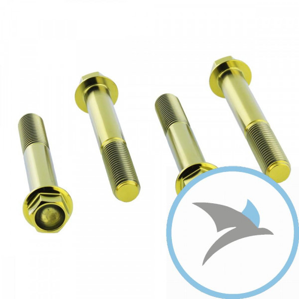 Schraube Bremssattel Satz Pro Bolt Titan gold - TIFBMON350G