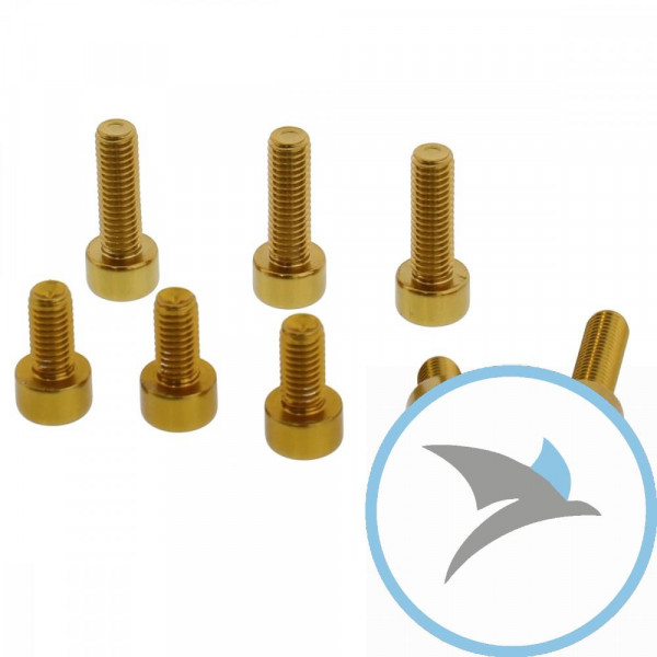 Schraube Tankdeckel Satz Pro Bolt alu gold - TSUZG