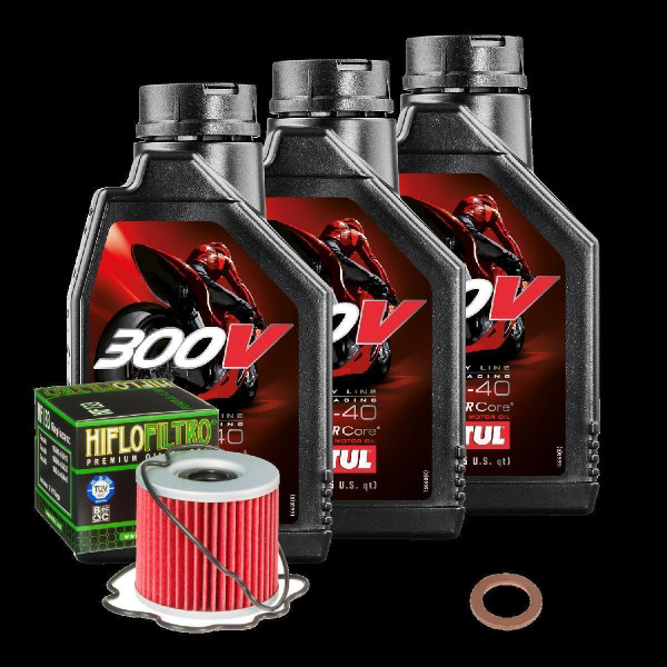 Suzuki GS 500 E Service Kit Ölwechsel Öl Motul 300V 10W40 Ölfilter