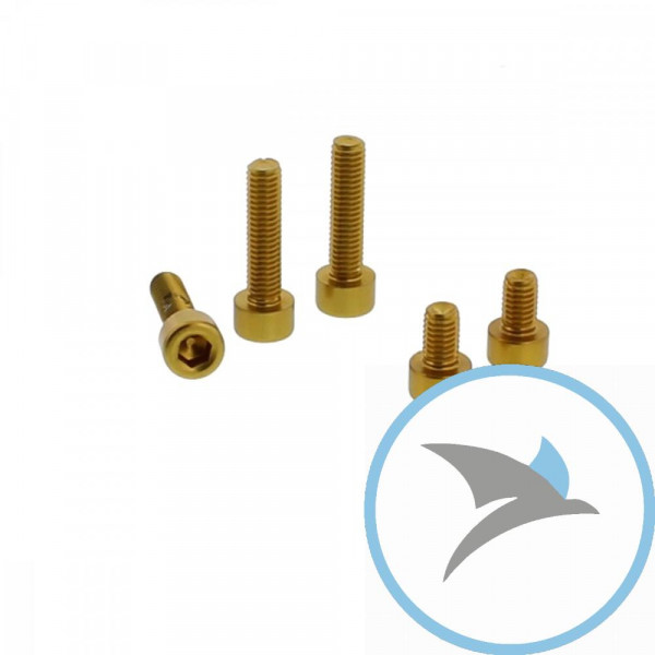 Schraube Tankdeckel Satz Pro Bolt alu gold - TYA398G