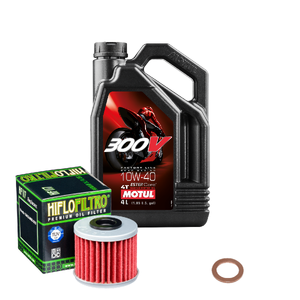 Honda GL 1800 Goldwing ABS Service Kit Ölwechsel Öl Motul 300V 10W40 Ölfilter