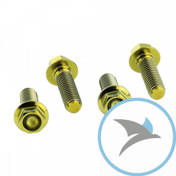 Schraube Bremssattel Satz Pro Bolt Titan gold - TIFBMON20G