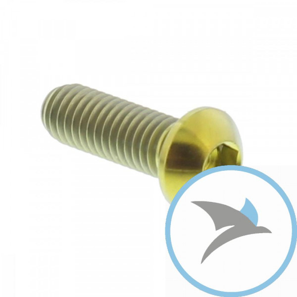 Schraube Bremsscheibe Pro Bolt M6X1.00 mm 18 mm Titan gold - TIDISCBMW002G