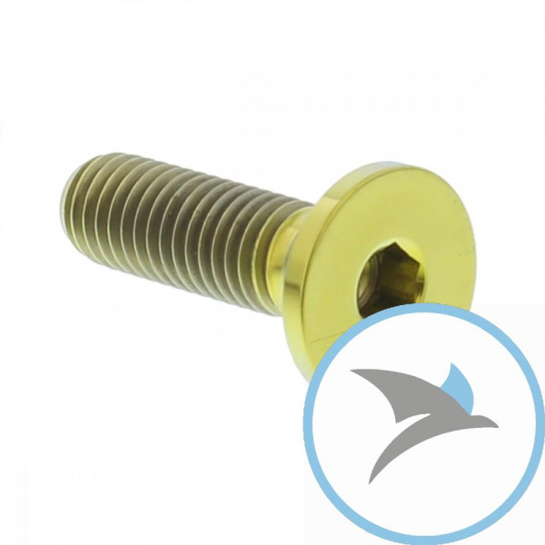 Schraube Bremsscheibe Pro Bolt M8X1.25 mm 26MM Titan gold - TIDISCBMW001G