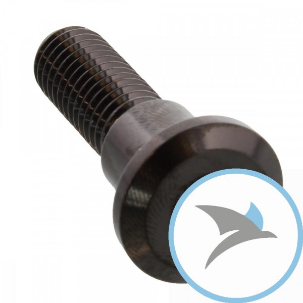 Schraube Bremsscheibe Pro Bolt M8X1.25 mm 30 mm Edelstahl V4A schwarz - LSSDISCTRIFRBK