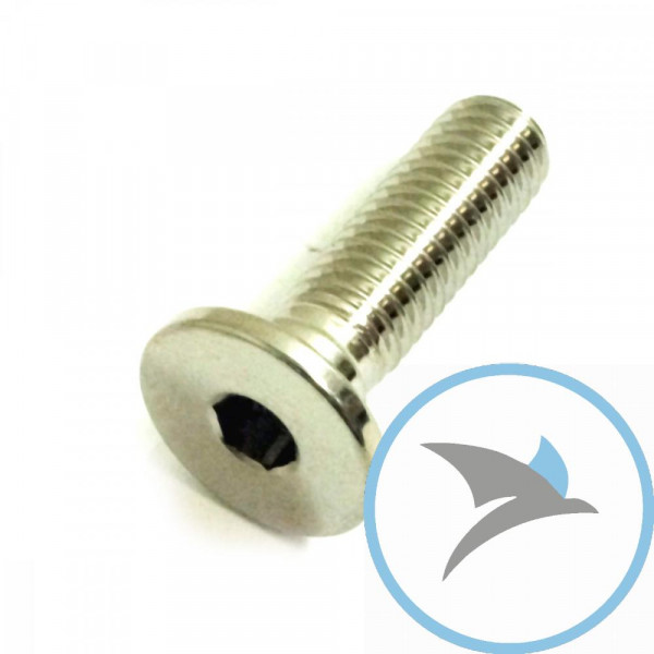 Schraube Bremsscheibe Pro Bolt M8X1.25 mm 26MM Edelstahl V4A - LSSDISCBMW001