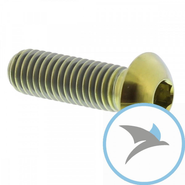 Schraube Bremsscheibe Pro Bolt M8X1.25 mm 25 mm Titan gold - TIDISCBMWG