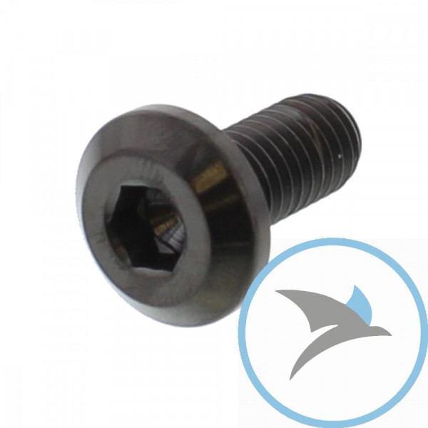 Schraube Bremsscheibe Pro Bolt M8X1.25 mm 18 mm Titan schwarz - TIDISCTRIREBK