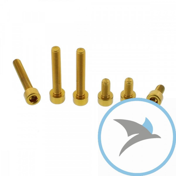 Schraube Tankdeckel Satz Pro Bolt alu gold - TTR123G