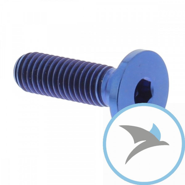 Schraube Bremsscheibe Pro Bolt M8X1.25 mm 26MM Titan blau - TIDISCBMW001B