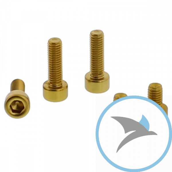 Schraube Tankdeckel Satz Pro Bolt alu gold - TKA243G