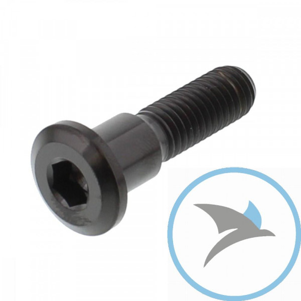 Schraube Bremsscheibe Pro Bolt M8X1.25 mm 33 mm Titan schwarz - TIDISCGSXRBK