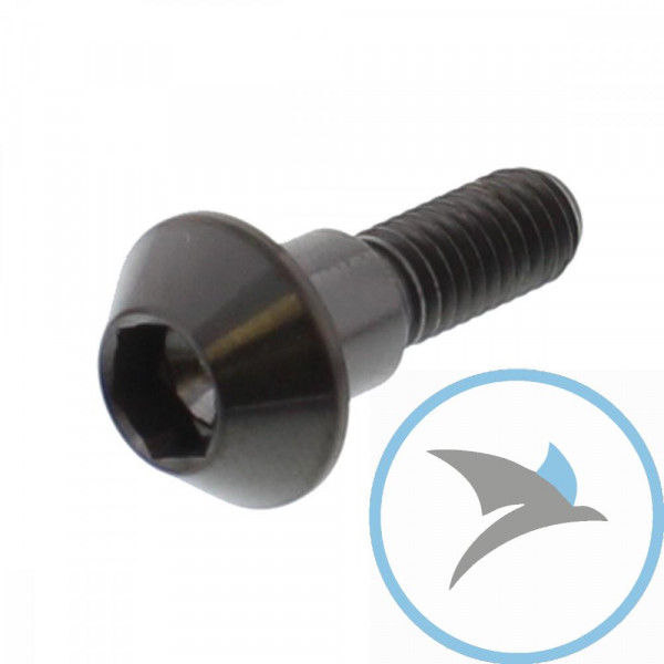 Schraube Bremsscheibe Pro Bolt M6X1.00 mm 20 mm Titan schwarz - TIDISCSUZ10BK