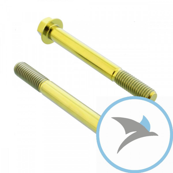 Schraube Bremssattel Satz Pro Bolt Titan gold - TIFBMON620G