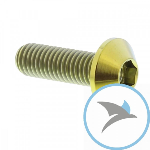 Schraube Bremsscheibe Pro Bolt M8X1.25 mm 25 mm Titan gold - TIDISCYAMG