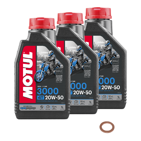 BMW R 100 GS Service Kit Ölwechsel Öl Motul 3000 20W50 Schraube