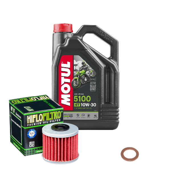 Honda GL 1800 Goldwing ABS Service Kit Ölwechsel Öl Motul 5100 10W30 Ölfilter