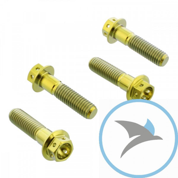 Schraube Bremssattel Satz Pro Bolt Titan gold Racing - TIFBMON250RG